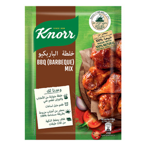 Knorr Barbeque (BBQ) Mix32g