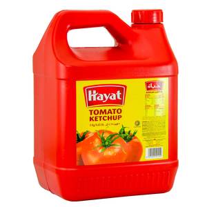 Hayat Tomato Ketchup 5kg