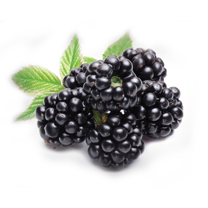 Organic Blackberry 1pkt