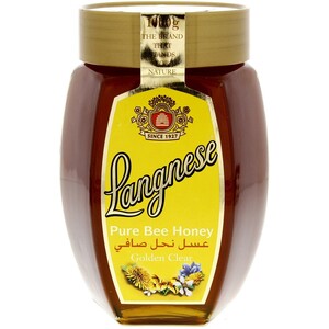 Langnese Pure Bee Honey 1kg